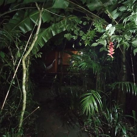 Yasi Yatere Reserva Agroecologica El Soberbio Dış mekan fotoğraf