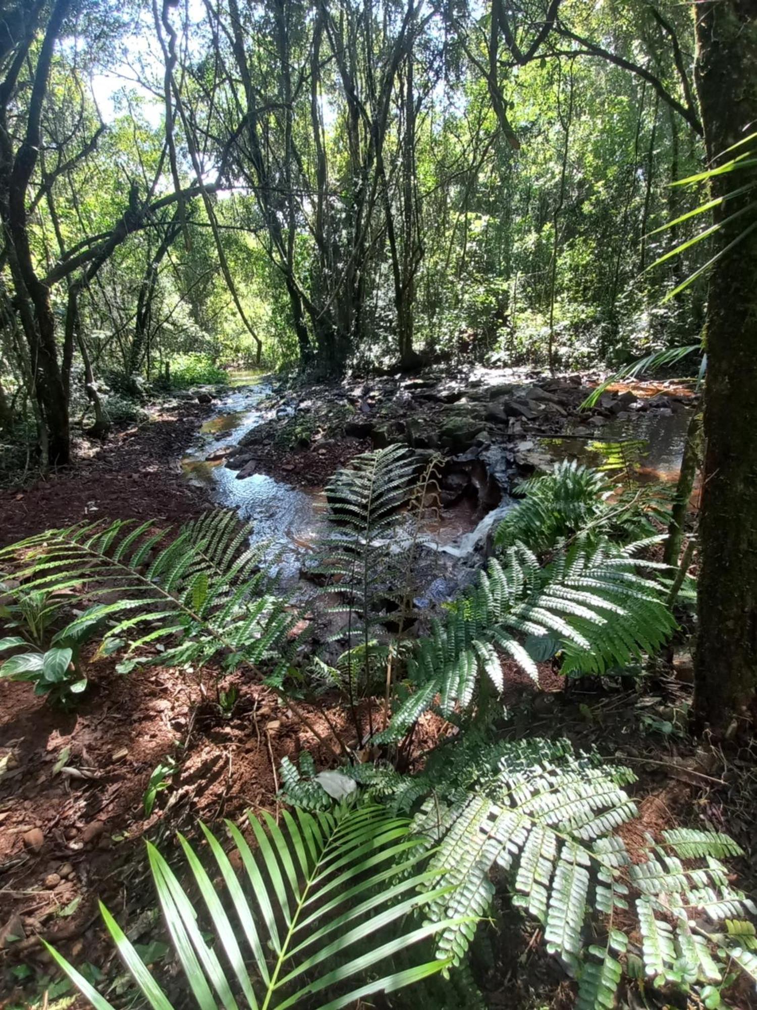 Yasi Yatere Reserva Agroecologica El Soberbio Dış mekan fotoğraf